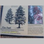 20060820_19BryceCanyon_010 copia.jpg